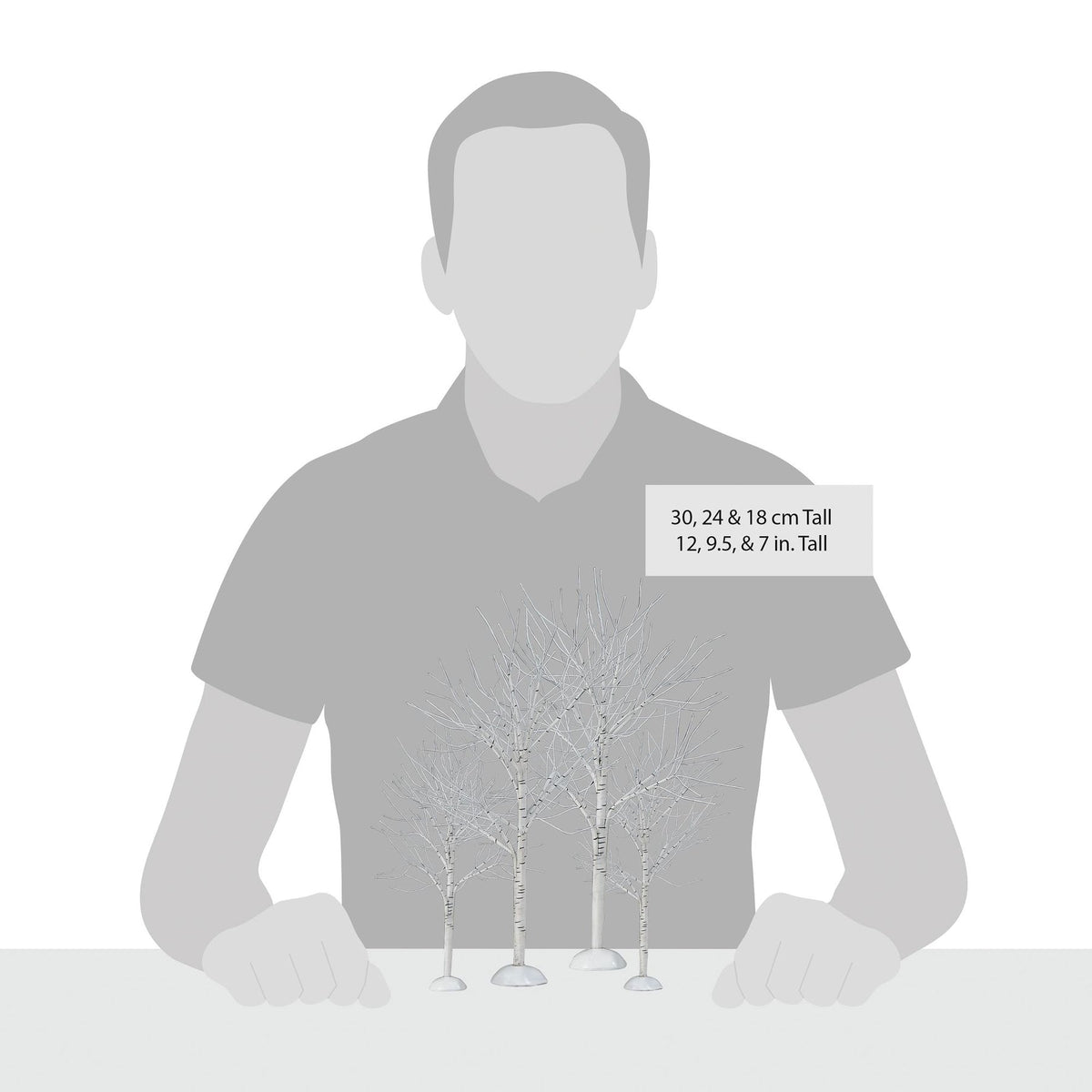Winter Birch | Department 56
