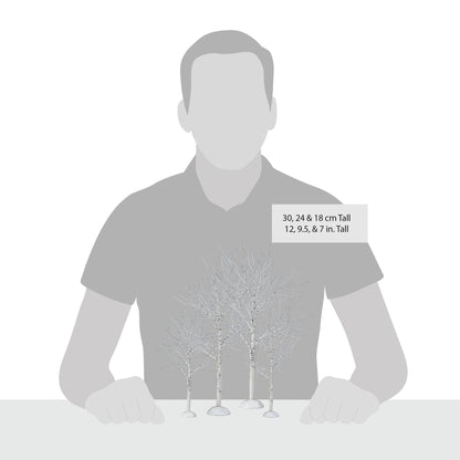 Winter Birch | Department 56