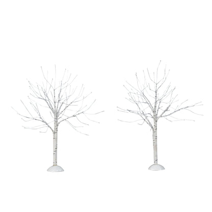 Winter Birch | Department 56