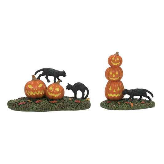 Scary Cats Pumpkins ST/2 | Department 56