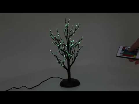 Twinkle Branch Tree, Black | Department 56