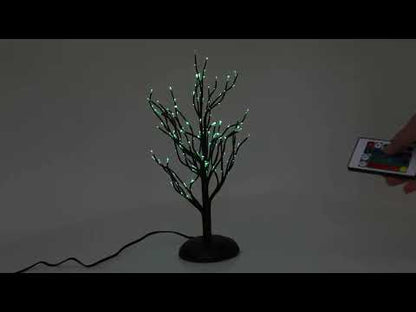 Twinkle Branch Tree, Black | Department 56